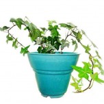 Maceta de fibra vegetal-1029